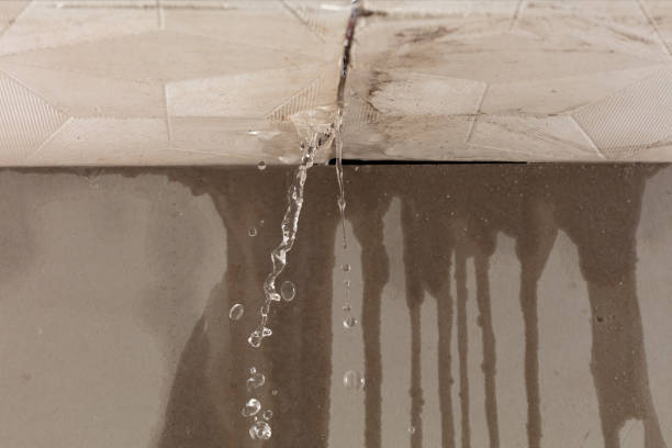 Professional Structural Drying technician working in Rossburg, OH